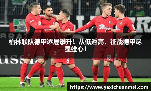 yy易游体育网址
