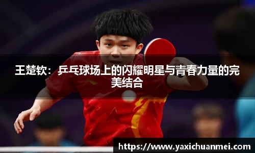 yy易游体育