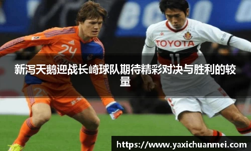 yy易游